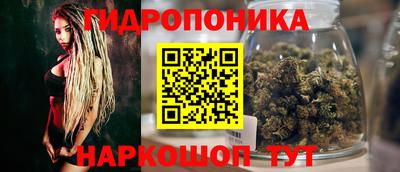 марихуана Новодвинск