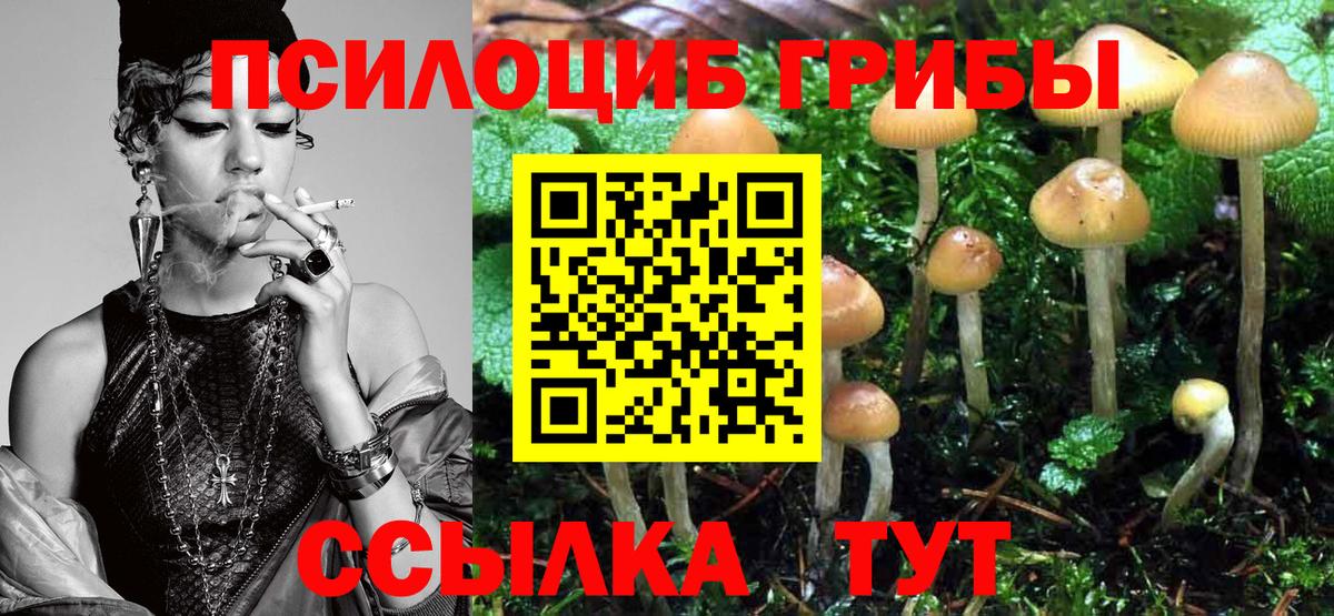 Усть-Джегута  Галлюциногенные грибы Magic Shrooms  Вход с VPN  Галлюциногенные грибы GOLDEN TEACHER 