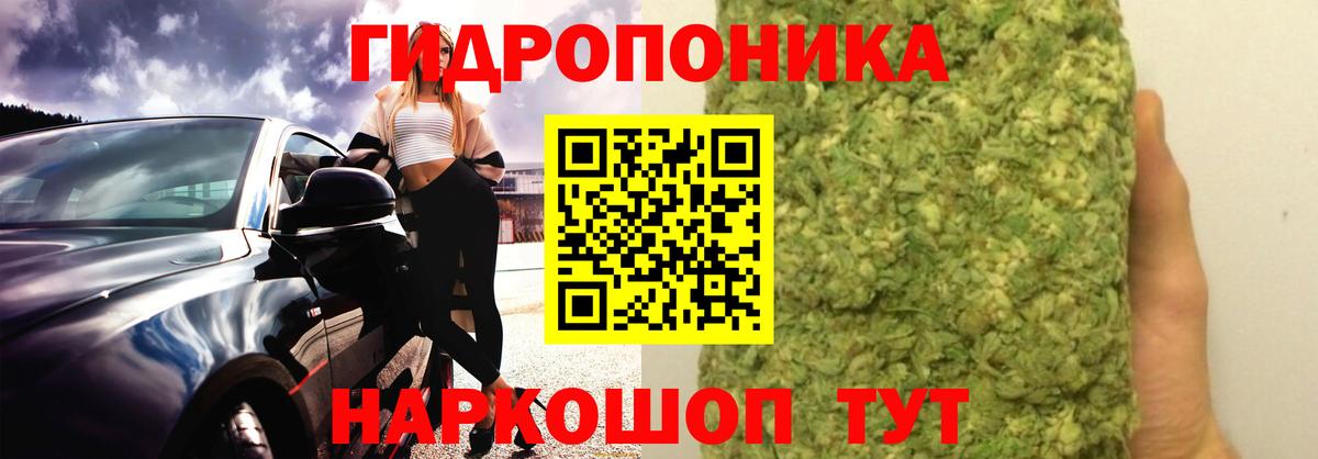 Шишки марихуана марихуана Усть-Джегута